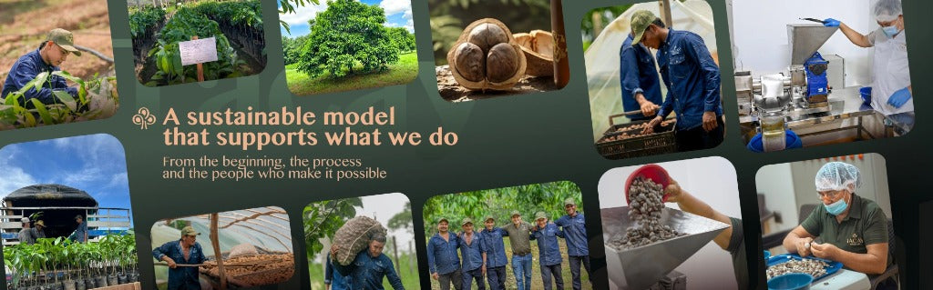 A sustainable model that supports what we do