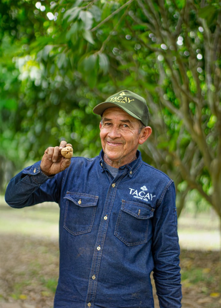 Farmer with cacay nut