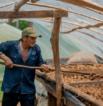 Nut drying process