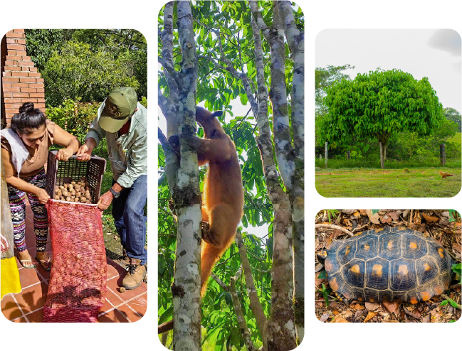 Territory and Communities